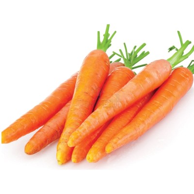 Морковь молодая 1 кг - купить в Герпелях