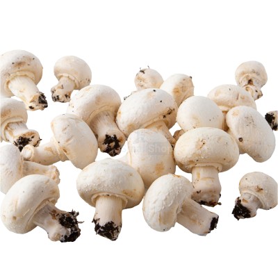 Шампиньоны свежие 500 г - купить в Герпелях